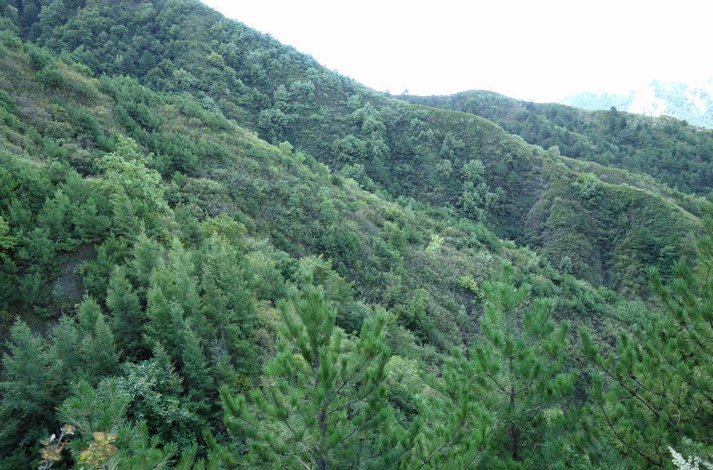 南天門自然植物園(2018年9月)の写真